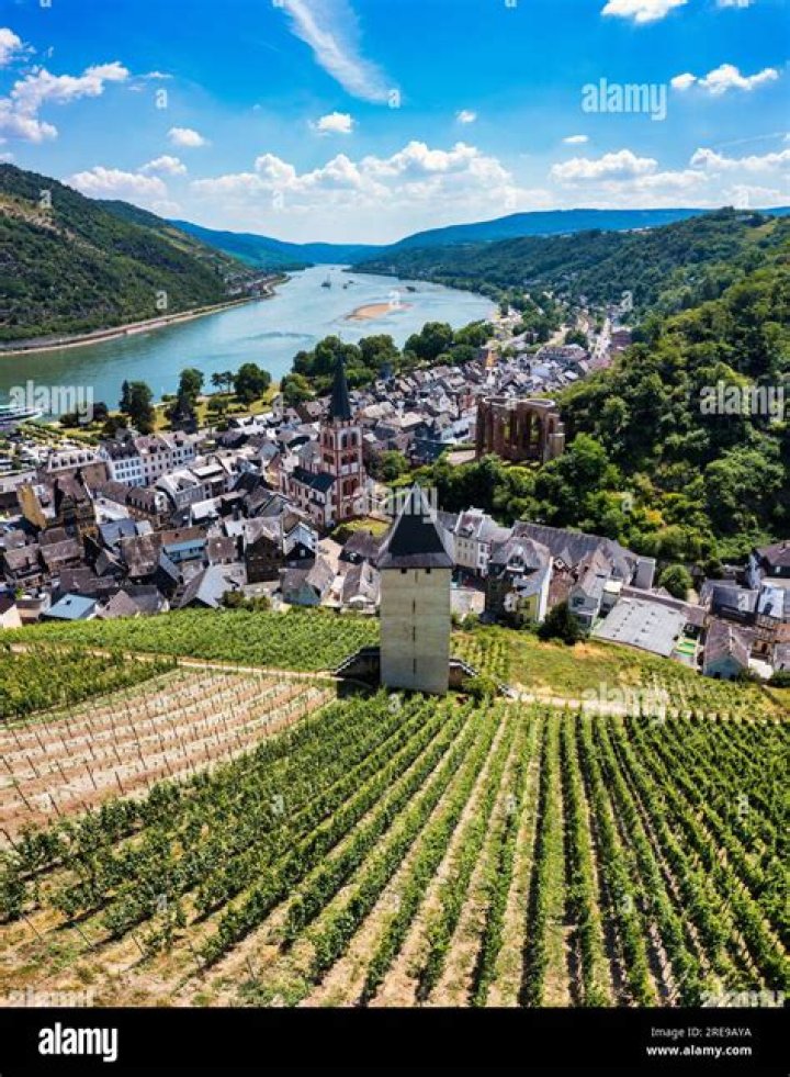 Burt Bacharach Height: How Tall Is Burt Bacharach?