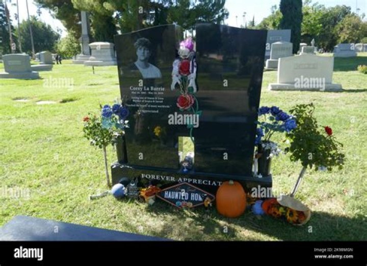 Corey La Barrie Net Worth, Age, Height, Bio, Birthday, Wiki!