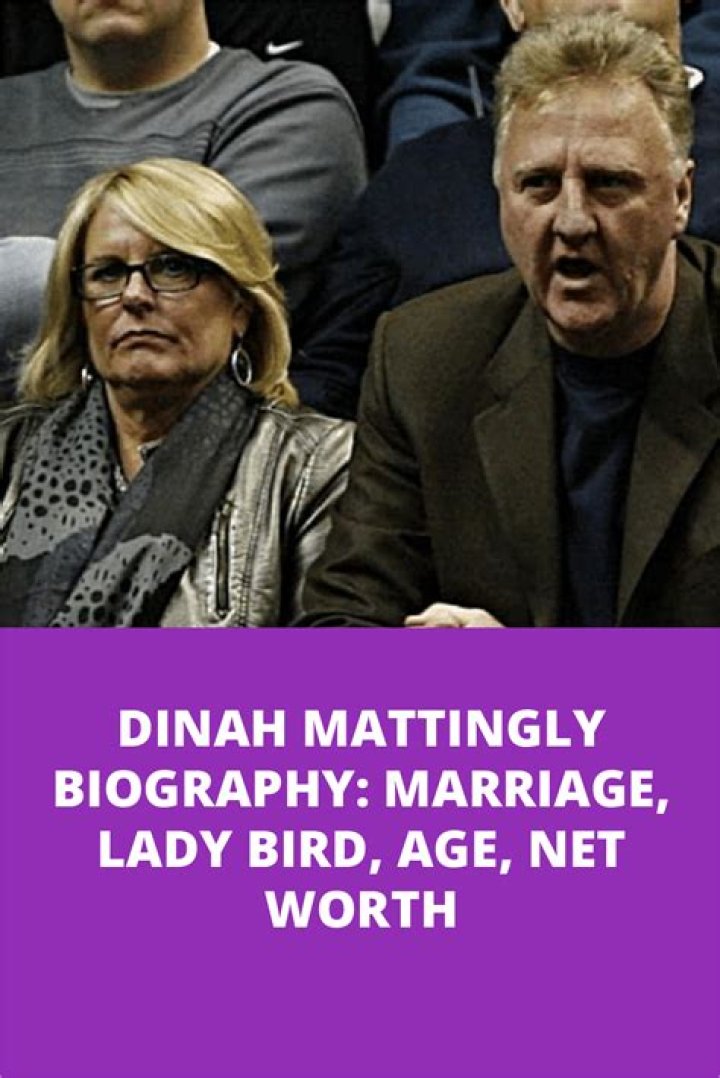 David Mattingly - Net Worth, Age, Height, Birthday, Bio, Wiki!