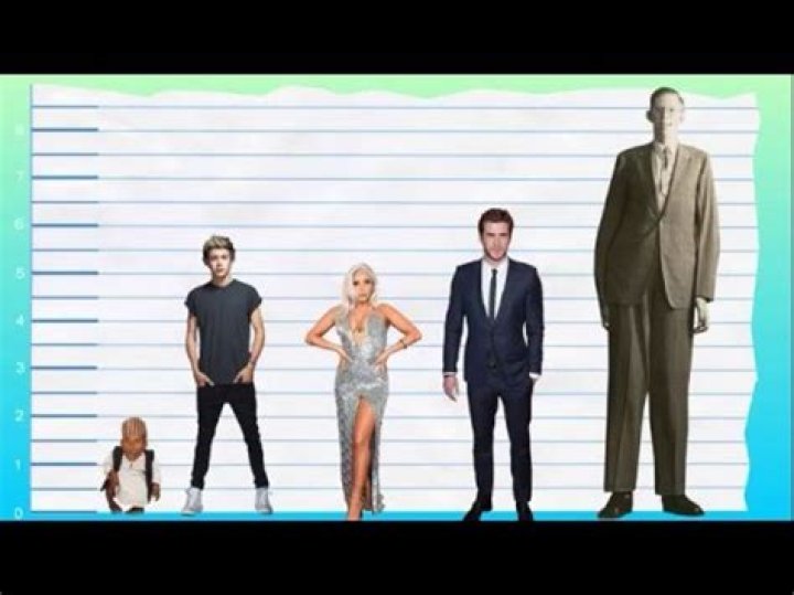 How Tall Is Niall Horan?