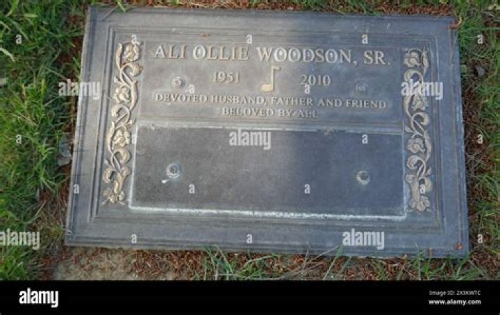 Jacqueline Woodson Net Worth, Age, Height, Bio, Birthday, Wiki!