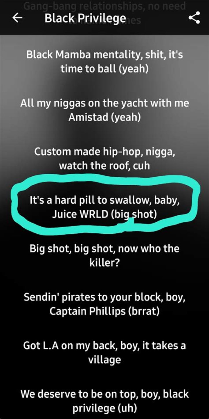 LYRICS: Dr. Dre – Black Privilege