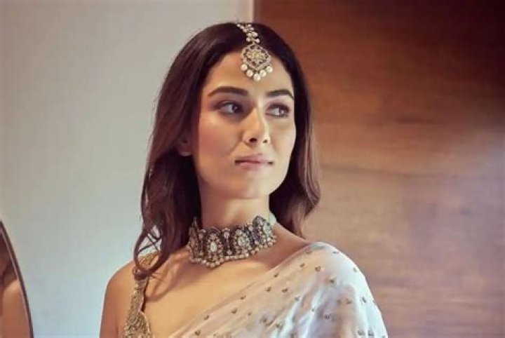 Mira Rajput - Net Worth, Age, Height, Birthday, Bio, Wiki!