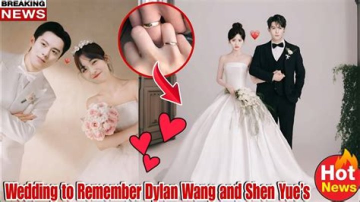 Shen Yue’s Boyfriend: Who is Shen Yue Dating?
