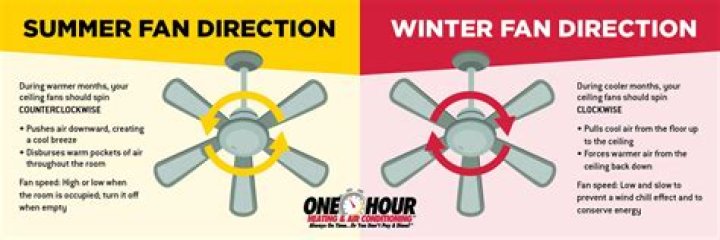 Why is One Direction So Loved? - #DirectionerArticle